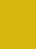 color project thumbnail