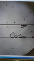 BubbleShrinkageOnChip1 project thumbnail