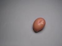 Egg_detection1 project thumbnail