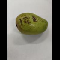 Mango project thumbnail