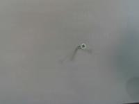 screw_3 project thumbnail