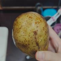 potato-sprout-detection project thumbnail