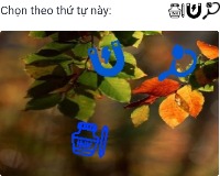 ordercaptcha111q project thumbnail