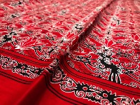 Batik Dayak Kalimantan project thumbnail