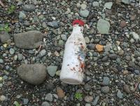 Plastic Bottles project thumbnail