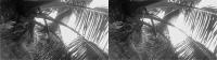 Preprocessed 3 (485) project thumbnail