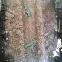 brocolly project thumbnail