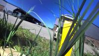 wg-disceased-plant-detection project thumbnail