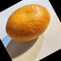 fruitdataset project thumbnail