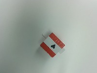 detection project thumbnail