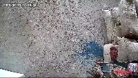 sacbag14-q7kxb project thumbnail