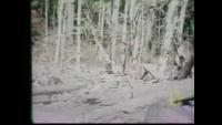 Stabilization project thumbnail