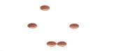 BUL_OVALS project thumbnail