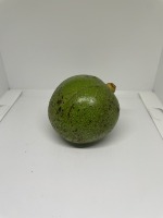 Dataset Image