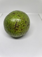 Dataset Image