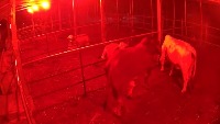 smart_farming project thumbnail