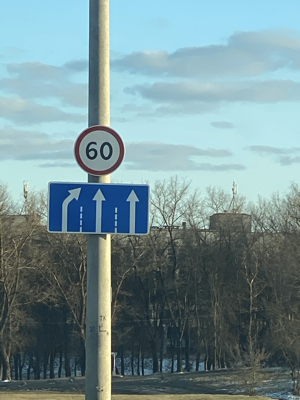 traffic-signs and trees Instance Segmentation Model by yolo