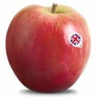 apple_live project thumbnail