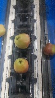 applesorting2seg project thumbnail