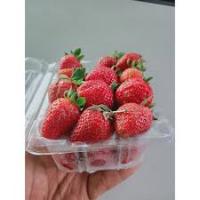 fix_strawberry project thumbnail