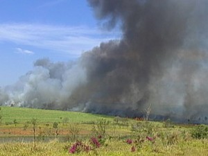 Ai Fire Object Detection Model By Aifiredetection