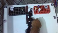 ampoule detection project thumbnail