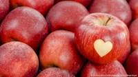 fruit project thumbnail