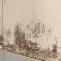 building-damage-insurance project thumbnail