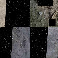 Dataset Image