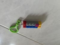 Dataset Image
