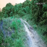 Dataset Image