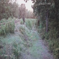 Dataset Image