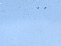 Shuangliu project thumbnail