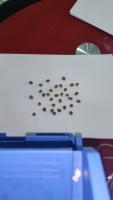 Coffee Bean Detector project thumbnail