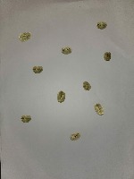 Arabica robusta project thumbnail