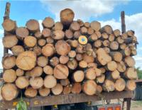 wood_group project thumbnail
