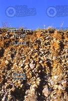 Soil Health Multi-Label project thumbnail