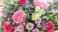 rose_detection_yolov8 project thumbnail