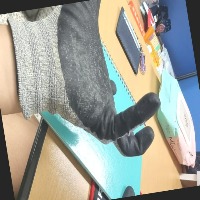 Dataset Image