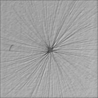 Unet segmentation project thumbnail