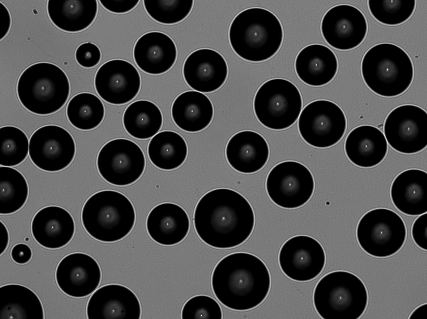 Con_2 Instance Segmentation Dataset by Saba