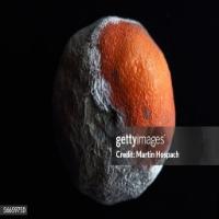 Fruit-Detection project thumbnail