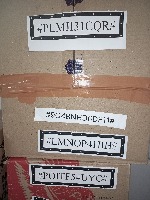 text-label detection project thumbnail