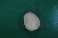 potato sprout detection project thumbnail