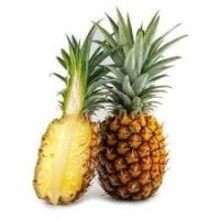 FruitVeg_Converted_Detection project thumbnail
