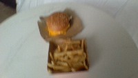 Burger and Fries project thumbnail