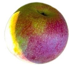 apple Object Detection Dataset by myself