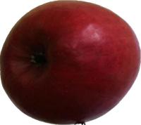 apple Object Detection Dataset by myself