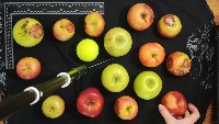 Dataset Image