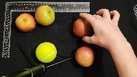Dataset Image